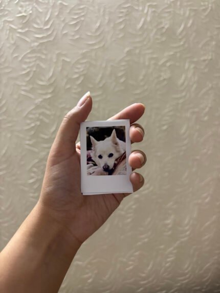 Mini Polaroids Set of 20